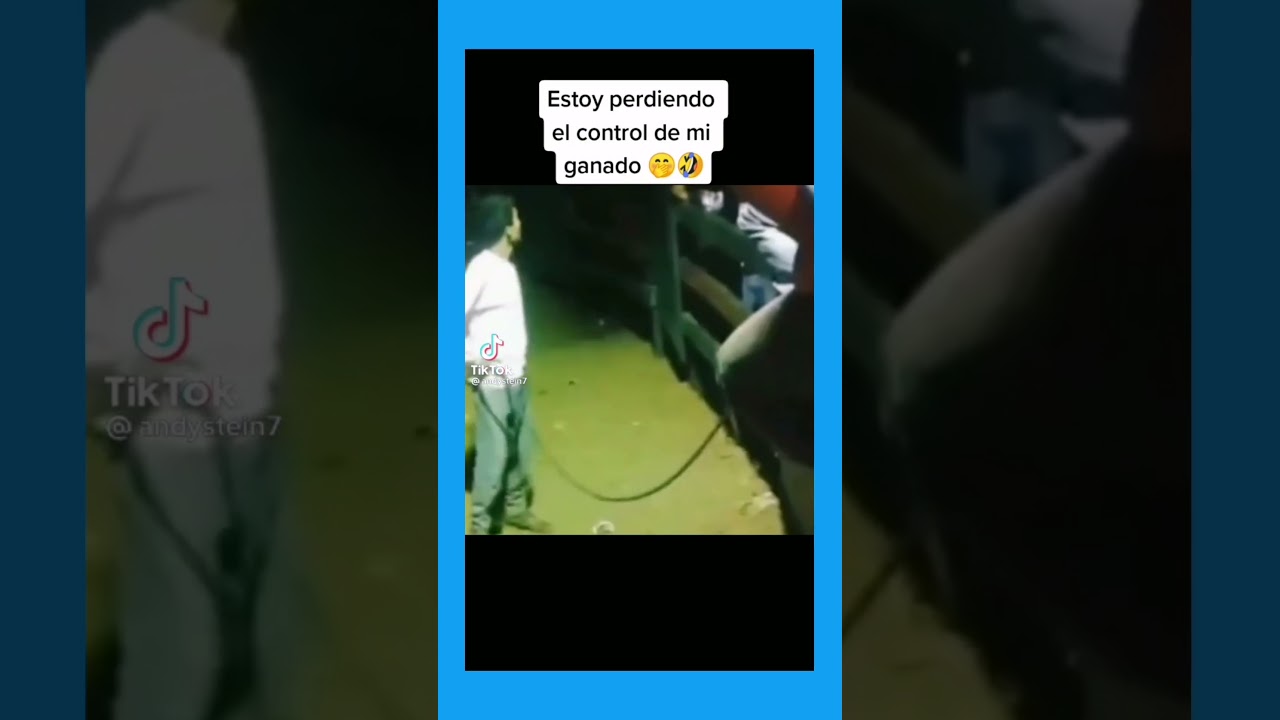 🚨 PURO HUMOR VIRAL#2 🔥 TIKTOKS GRACIOSOS 🎃🎃