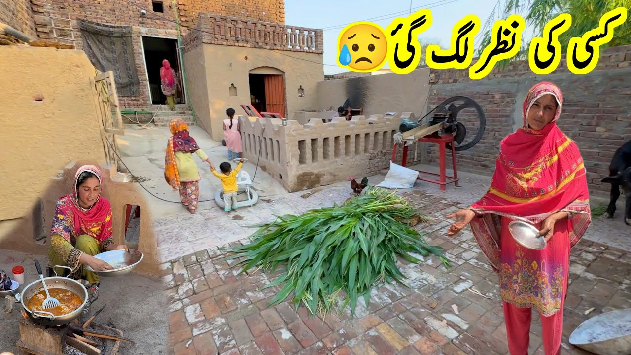 Kisi ki Nazar Lag gayi 😳/village panjab/pak village family