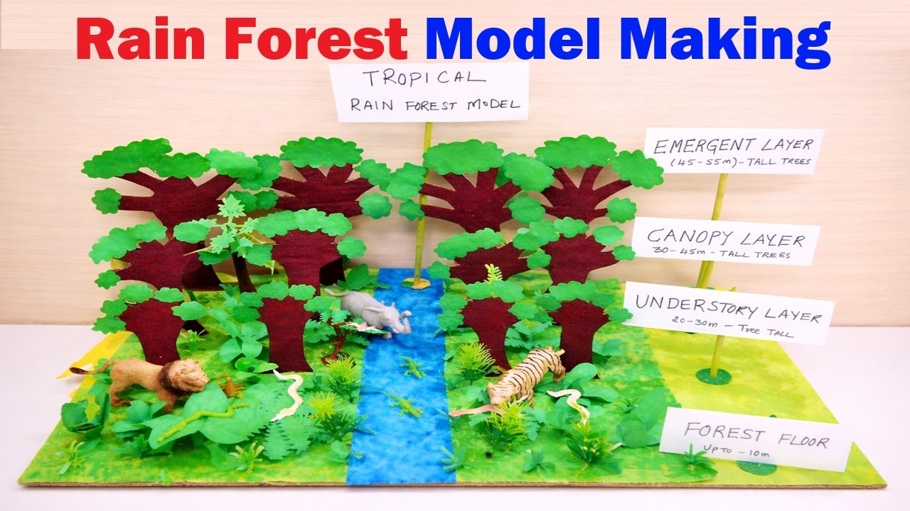 rain forest model making using cardboard | diy | science project | best out of waste | howtofunda