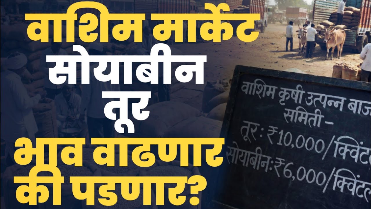 सोयाबीन6हजार -तूर10हजार नक्की विकायची की ठेवायची काय करावं?