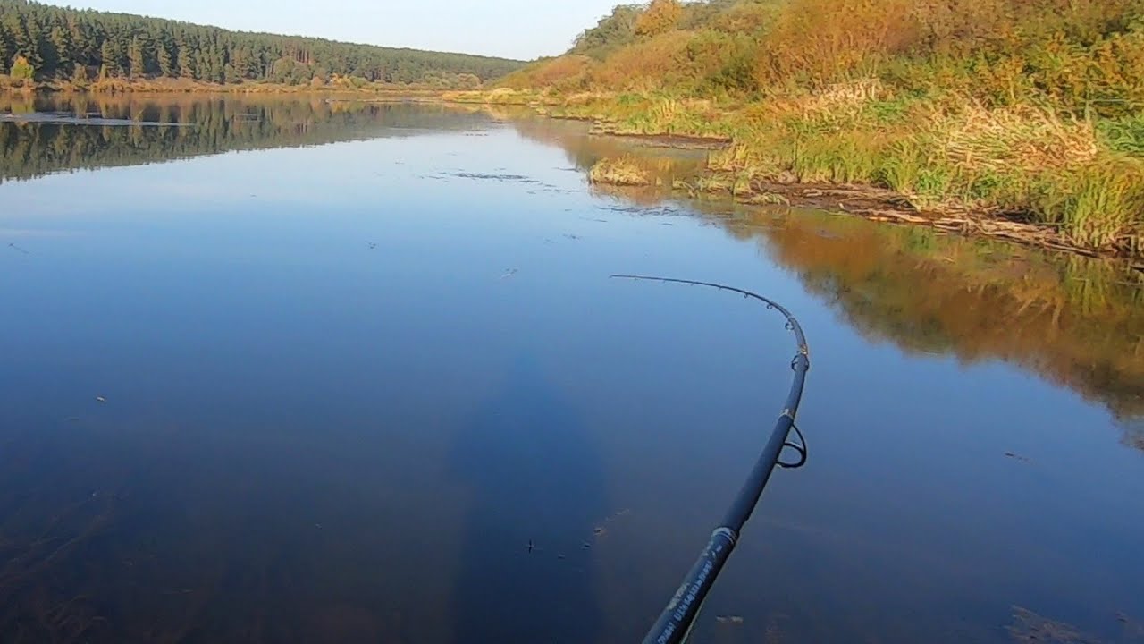 На Волге осенью. Отводной поводок. Perfect Jig