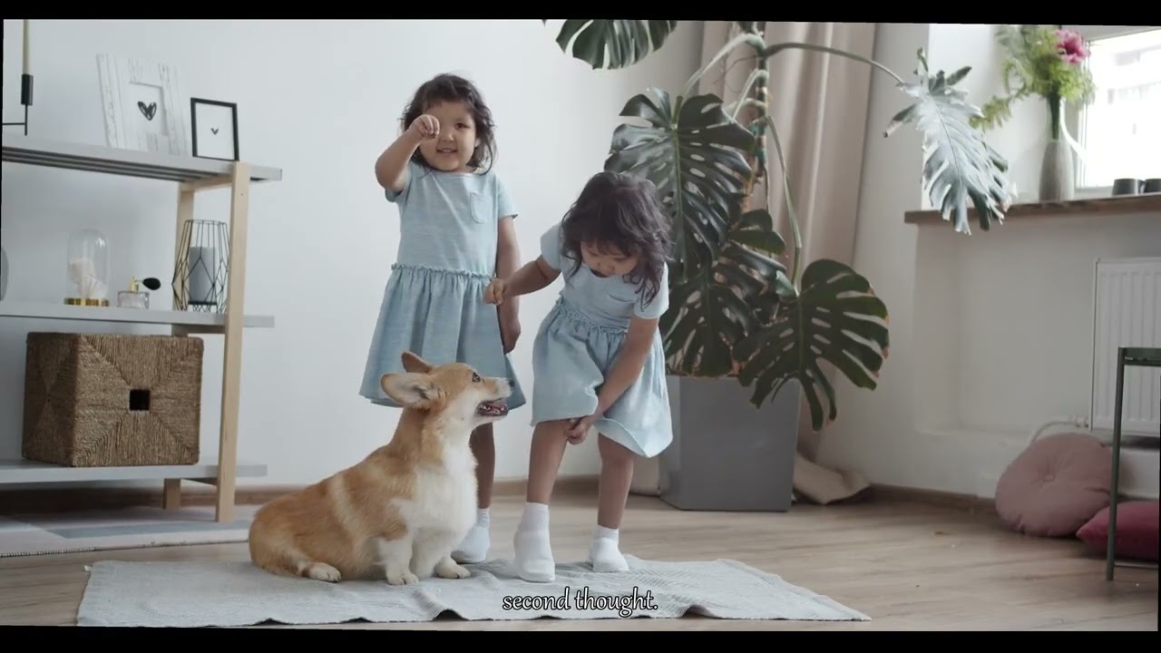 Are Your Pet Treats Harming Your Furry Friend Discover the Hidden Dangers Now