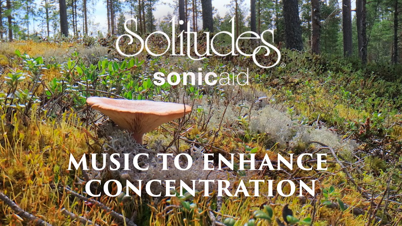SonicAid Solitudes - The Clearing | Music to Enhance Concentration