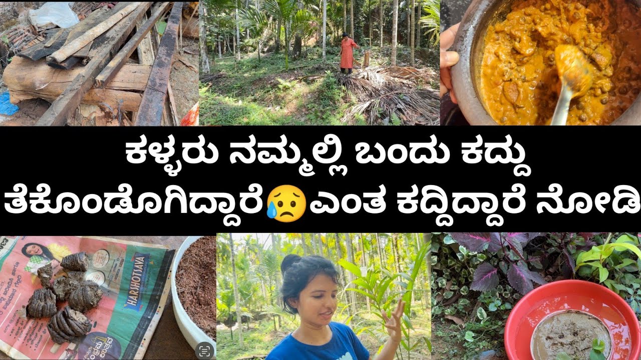 ಕಳ್ಳರು ನಮ್ಮಲ್ಲಿ ಬಂದು ಕದ್ದು ತೆಕೊಂಡೊಗಿದ್ದಾರೆ😥ಎಂತ ಕದ್ದಿದ್ದಾರೆ ನೋಡಿ |Kannada vlogs |