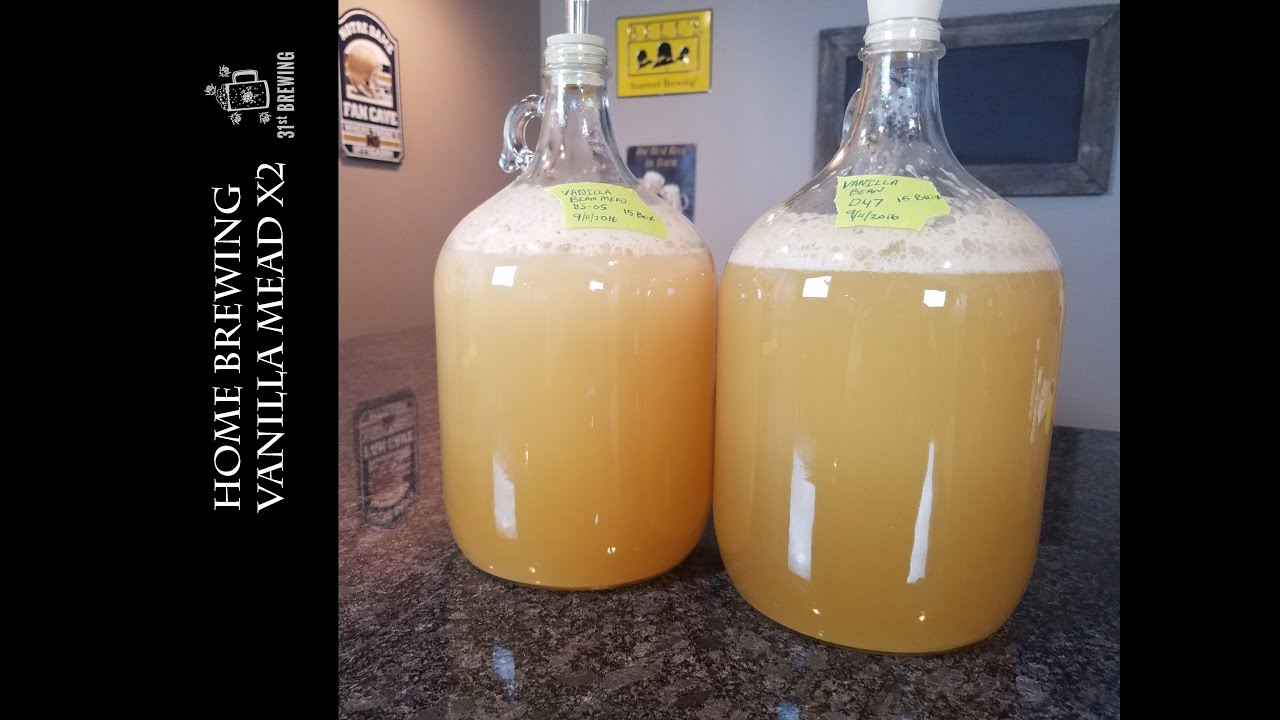 Vanilla Bean Mead Making and Test