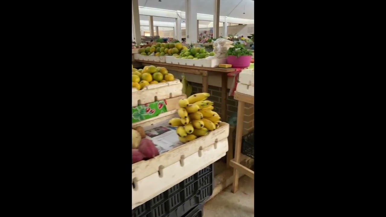 Valladolid Market Walk 🐮🥩🍊🥑🇲🇽