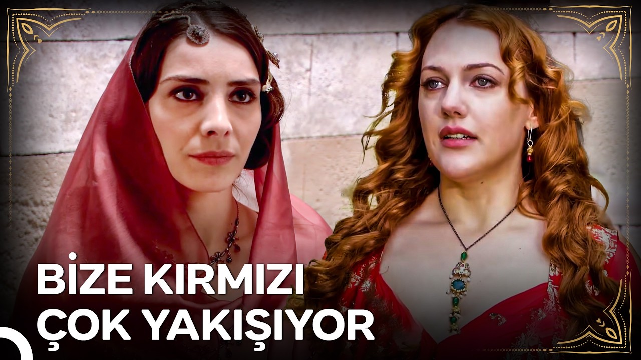 Bazen Diyorum Ki Süleyman Ne Kadar Şanslı Bir Adam 🫠