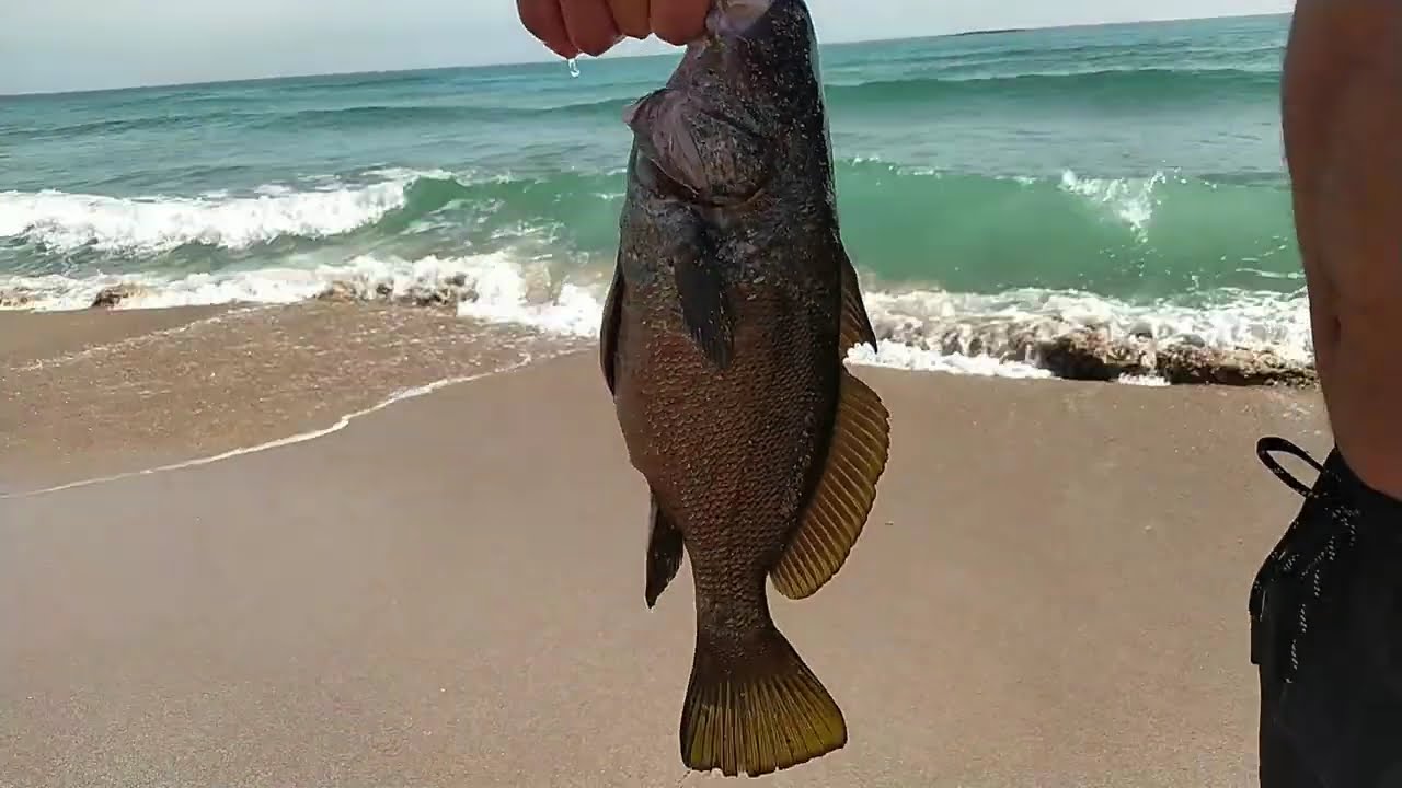 SARISU EŞKİNA KAMPI