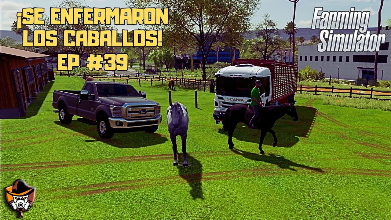 LLEVAMOS LOS CABALLOS AL VETERINARIO!!!