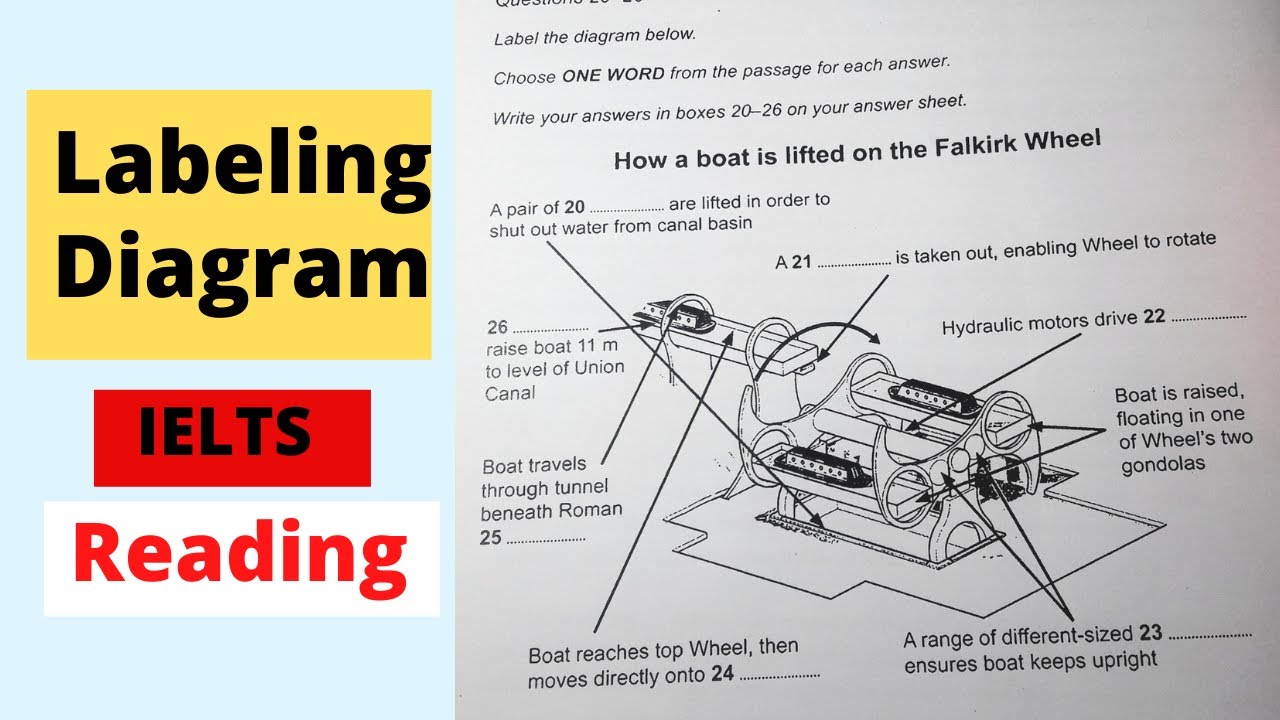 Labeling Diagram IELTS Reading | IELTS BANGLA