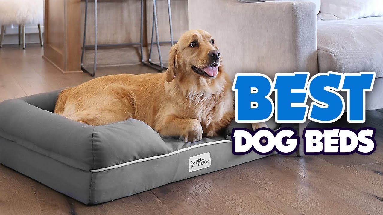 🐶 The Best Dog Beds - Exclusive Products Reviewed!