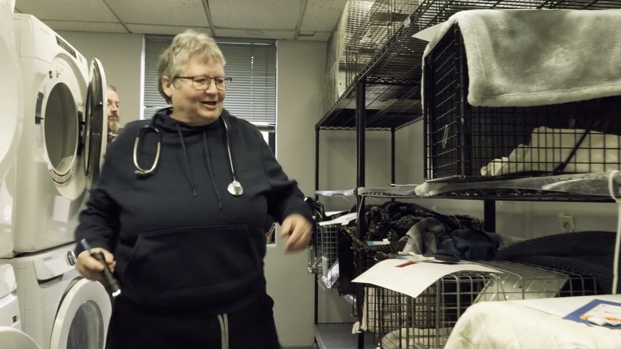 Documentary on People for Animals 