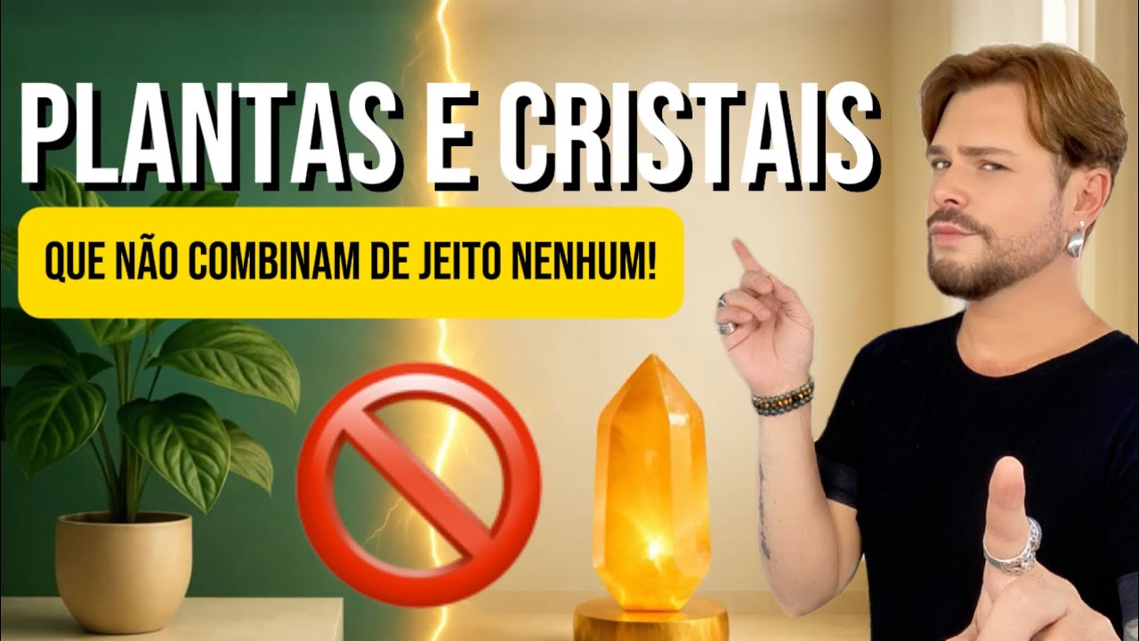 8 COMBINAÇÕES ENTRE PLANTAS E CRISTAIS QUE DESARMONIZAM A CASA (E O QUE FAZER)/ LUIZ NETTO