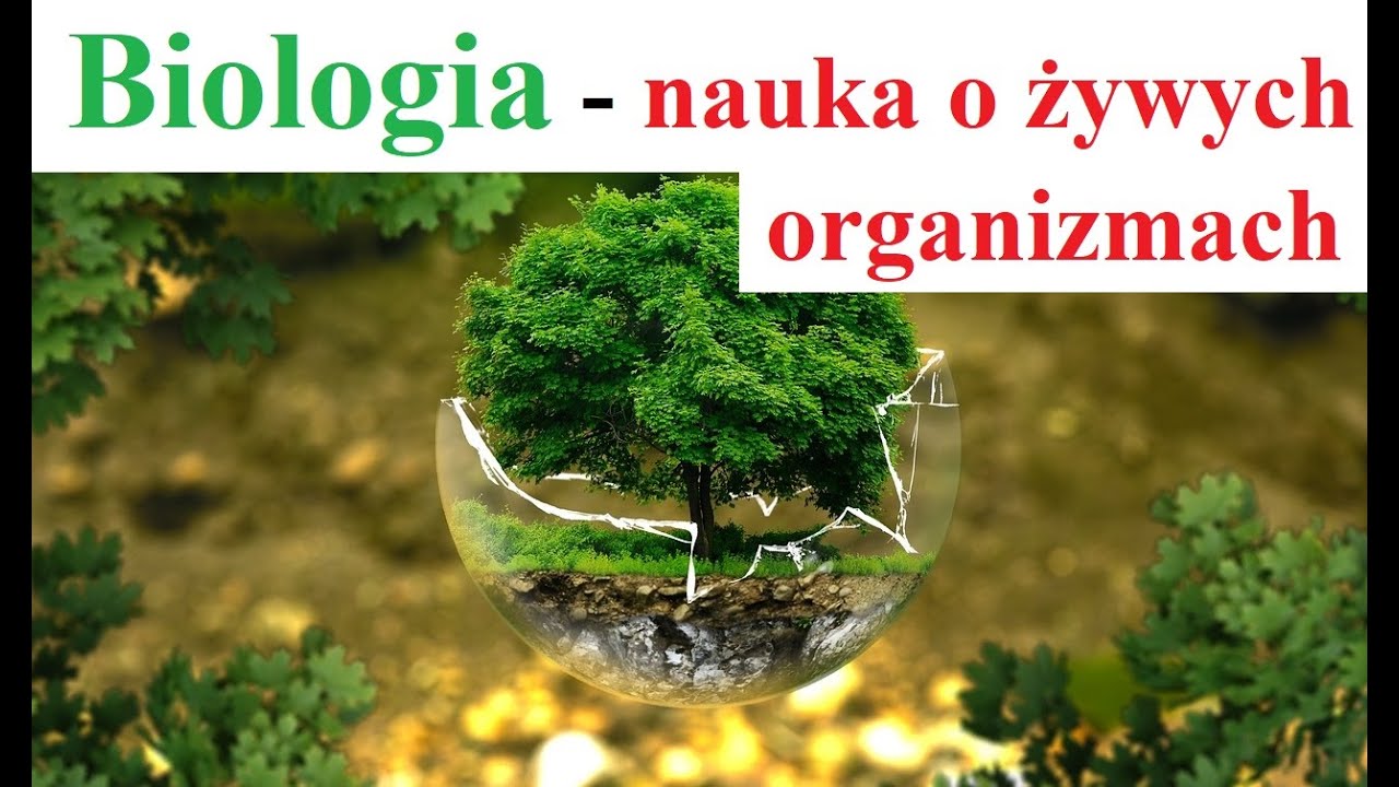 Czym jest Biologia - nauka o żywych organizmach