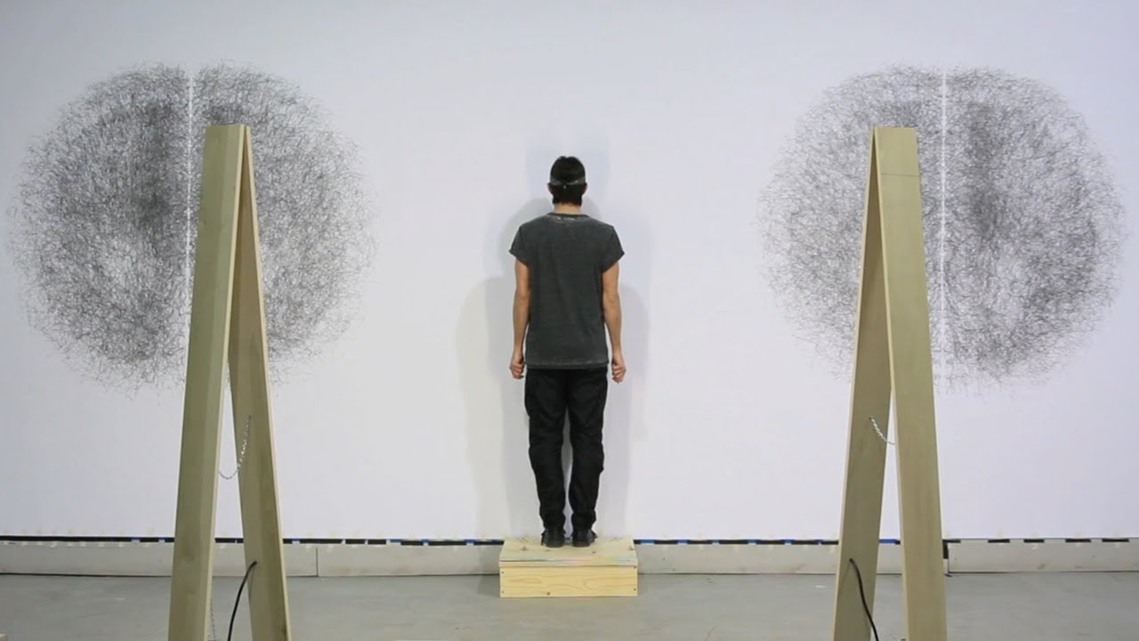 Tony Orrico, Penwald Drawings and CARBON series