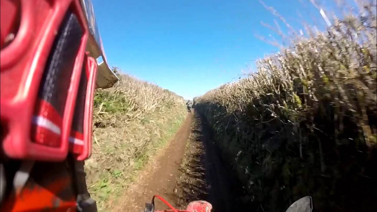 whiddon down run with rog