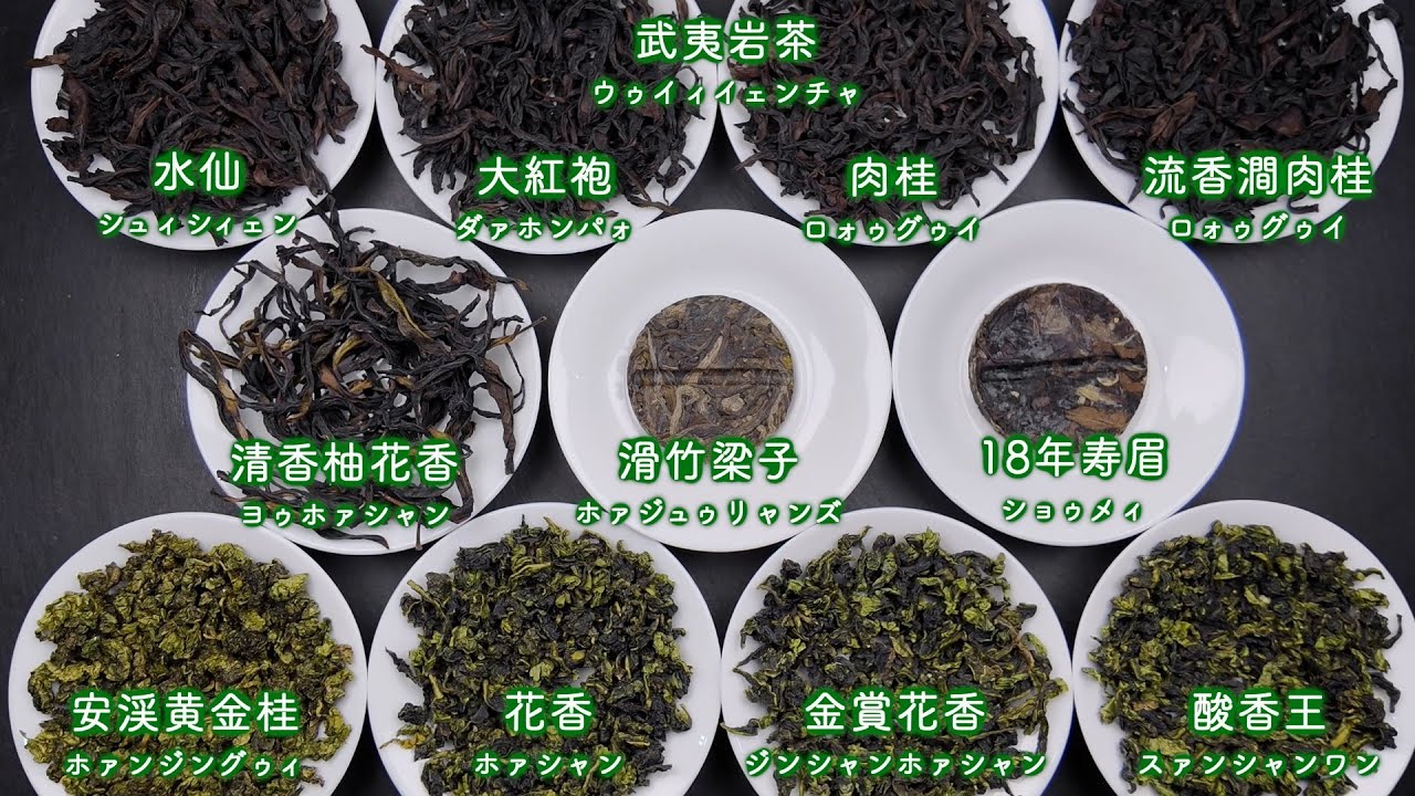 【プロ視点で解説】2025年11月 中国茶OMAKASE11種類の茶葉を一つずつ紹介しました！【中国茶・中国上海】中国茶専門店