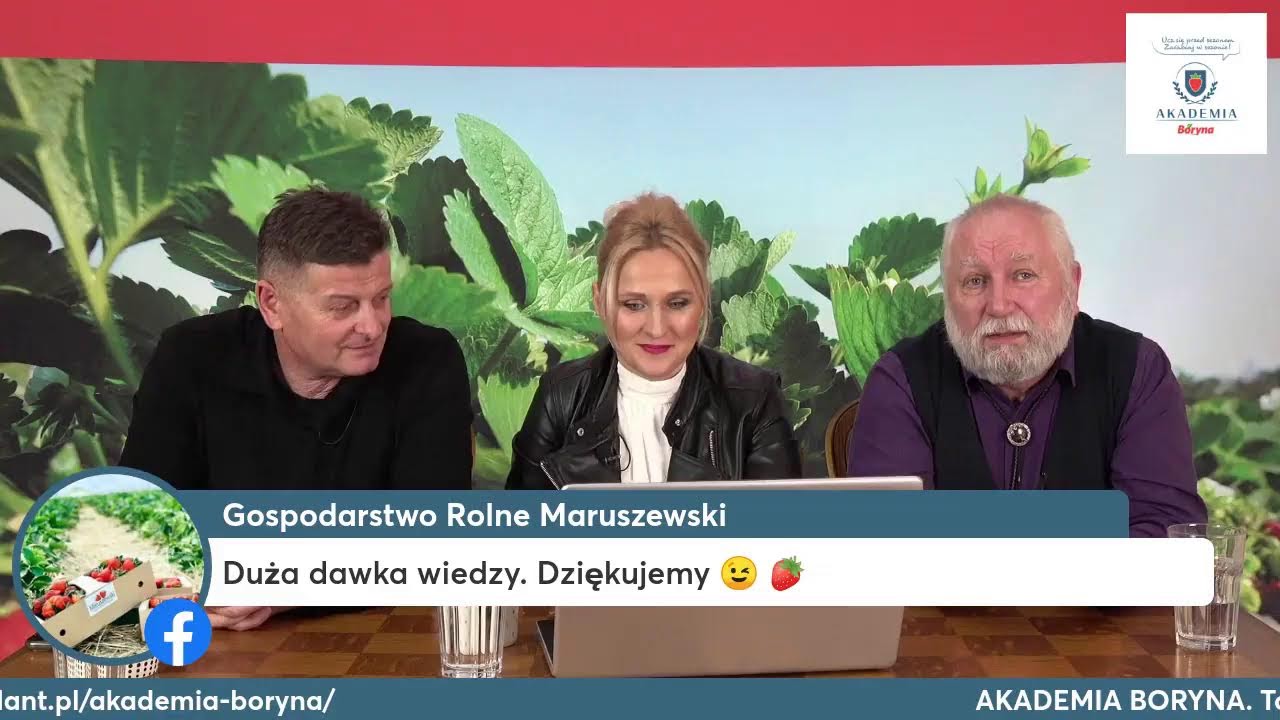 Zakładamy 𝗽𝗹𝗮𝗻𝘁𝗮𝗰𝗷𝗲̨ 𝘁𝗿𝘂𝘀𝗸𝗮𝘄𝗲𝗸 w podłożach o ograniczonej objętości krok po kroku