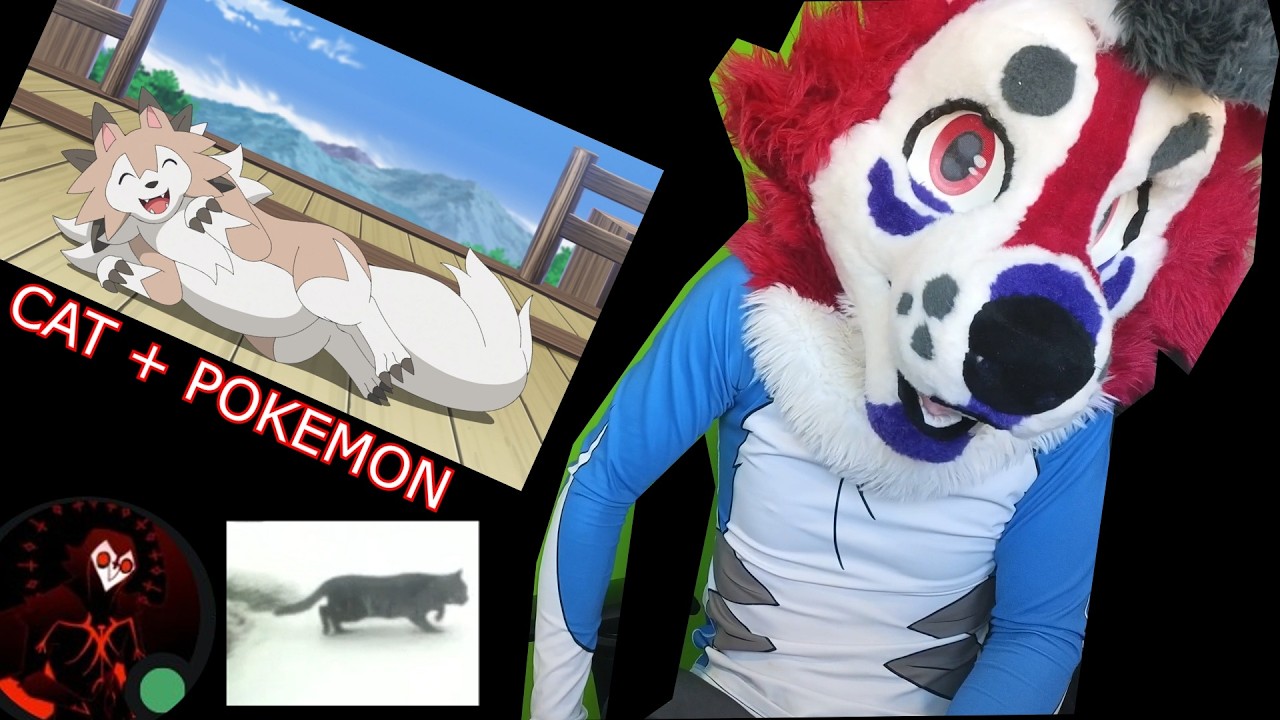 discord calling: cats and pokemon! #furry #vtuber