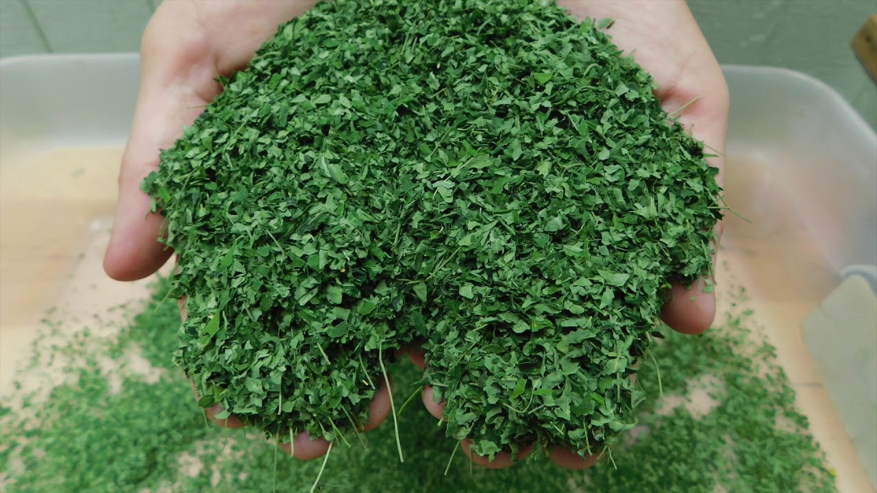 How to Make Leaf Powder With a Solar Dryer