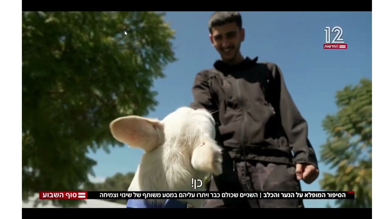 הסיפור המופלא של נער עובר חוק שמשקם כלב אלים. מעון גילעם של רשות חסות הנוער במשרד הרווחה, 13.9.25
