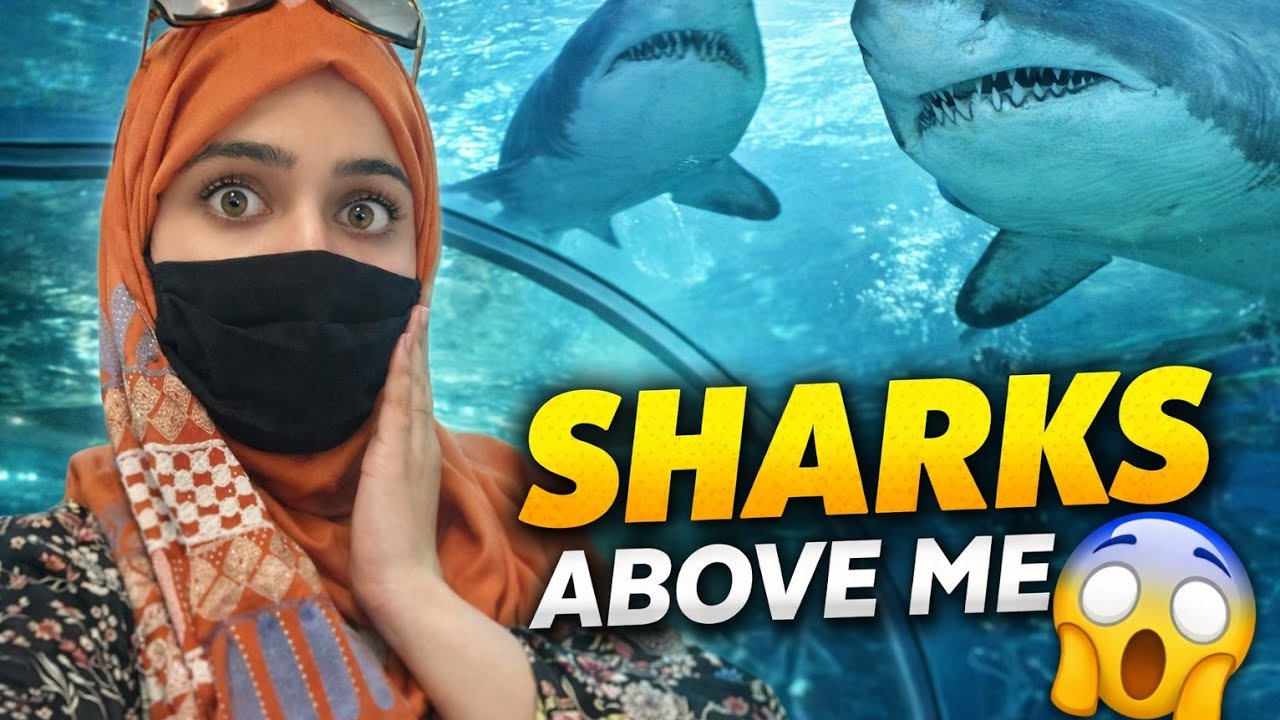 Saudi Arabia Jeddah Aquarium Underwater Tunnel | Sharks Over My Head!🦈 Amazing 🤩