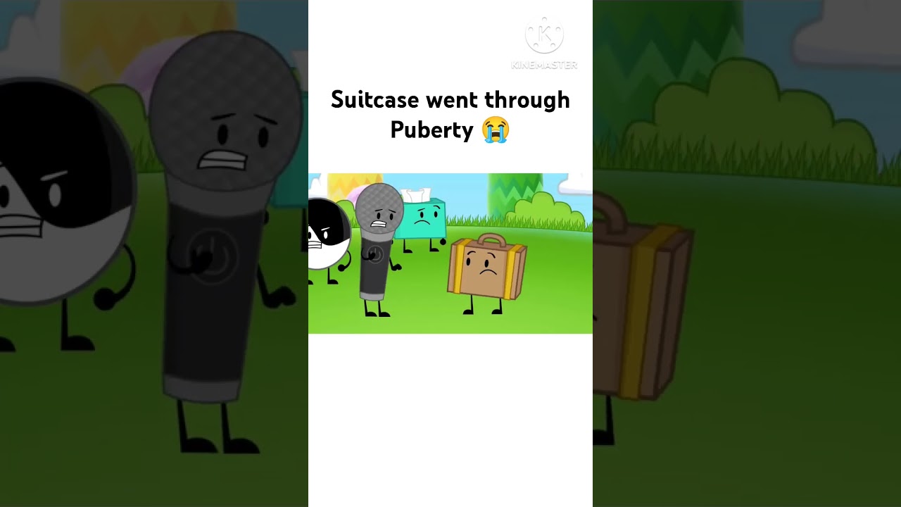 Suitcase has gone through... #inanimateinsanity #suitcase