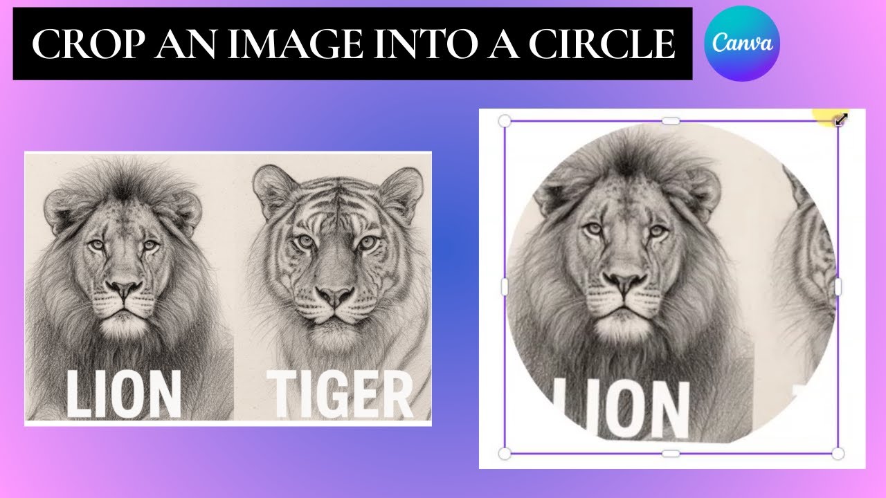 How to Crop an Image into a Circle in Canva (Quick and Easy Guide)