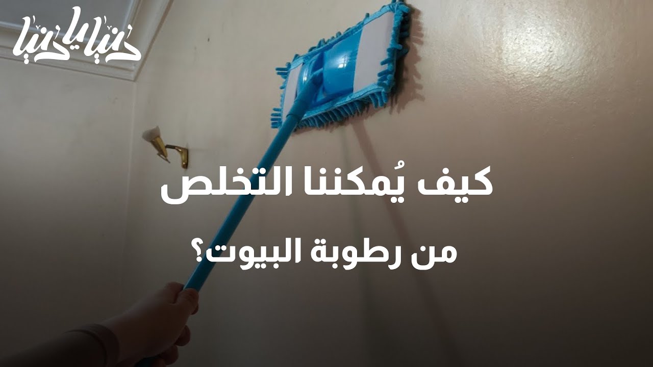 كيف يُمكننا التخلص من رطوبة البيوت؟ - دنيا يا دنيا #رطوبة_البيت