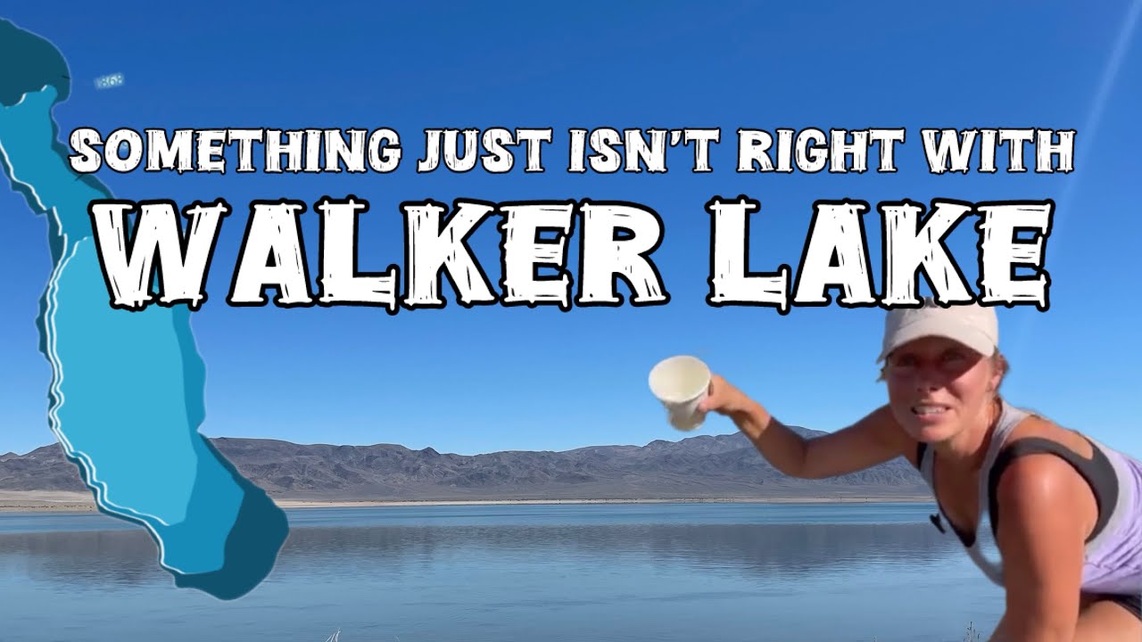 What’s Wrong with this Nevada Lake !? (The Story of Walker Lake)