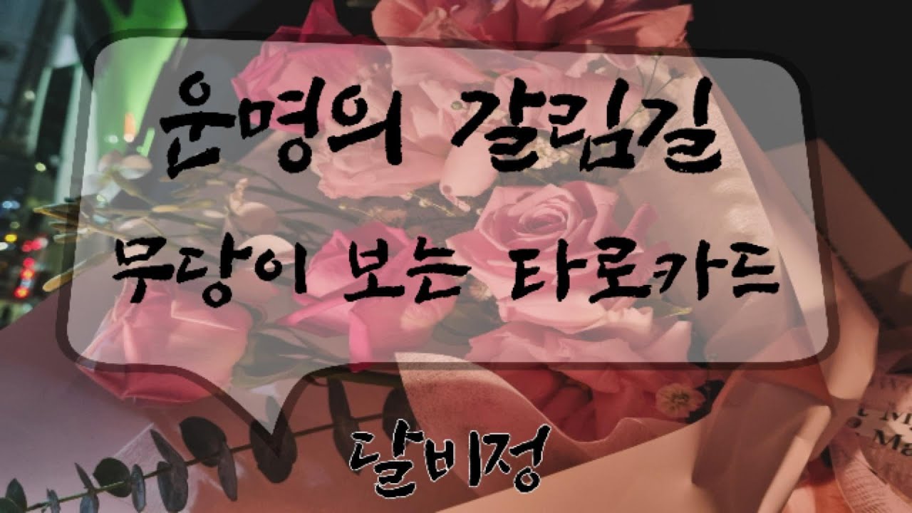 내 앞에 있는 선택의 길 어떤 곳으로 가야할까? #타로리딩 #타로상담 #사주 #운세 #궁합 #신년운세