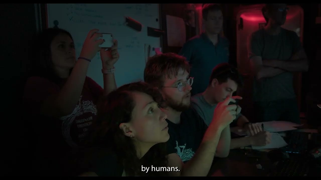 How Deep is Your Love | Documentary Clip – The Descent