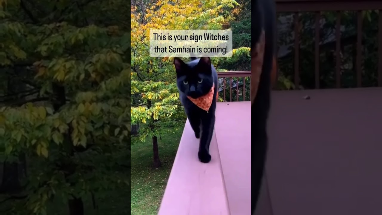 Samhain in TWO months!