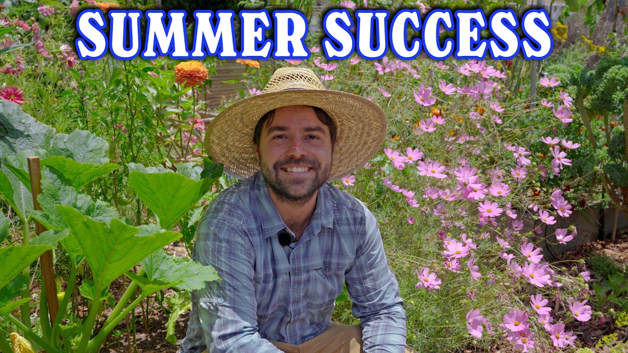 How I Keep My Summer Garden THRIVING!