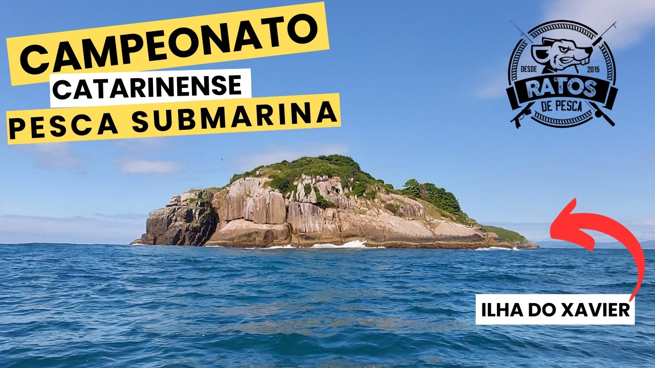🎣 CAMPEONATO CATARINENSE DE PESCA SUBMARINA NA ILHA DO XAVIER - O MAIOR DO BRASIL! 🌊