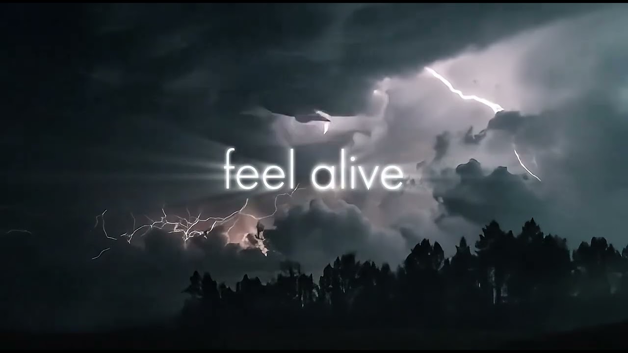 Alleymuzzic - Alive (Original mix) 