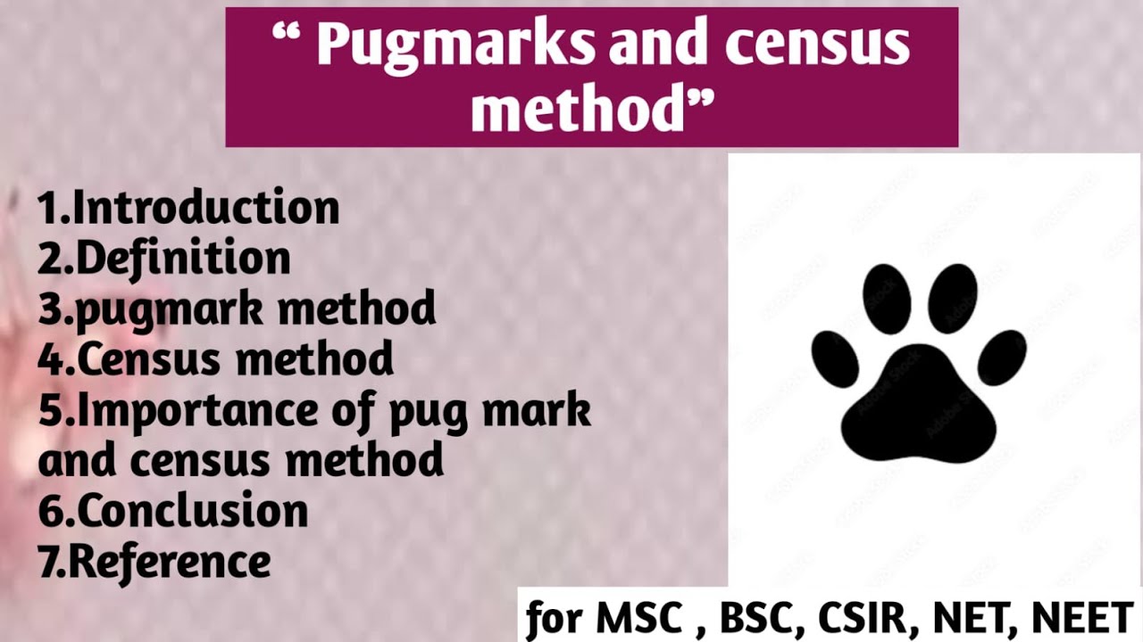 Pug mark and census method | Pug mark method  | Importance of pugmark and census method