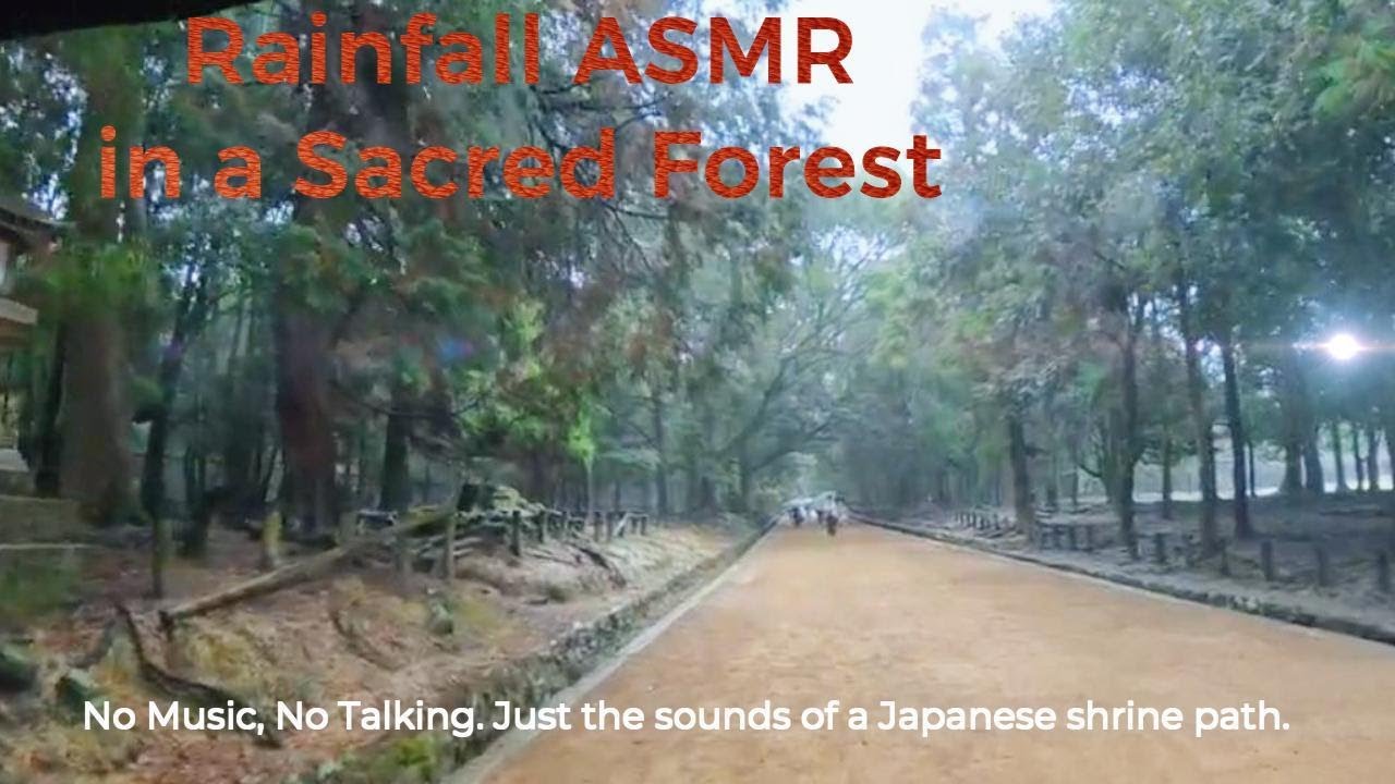 “Rain Sounds at a Japanese Shrine in Nara | Peaceful ASMR”