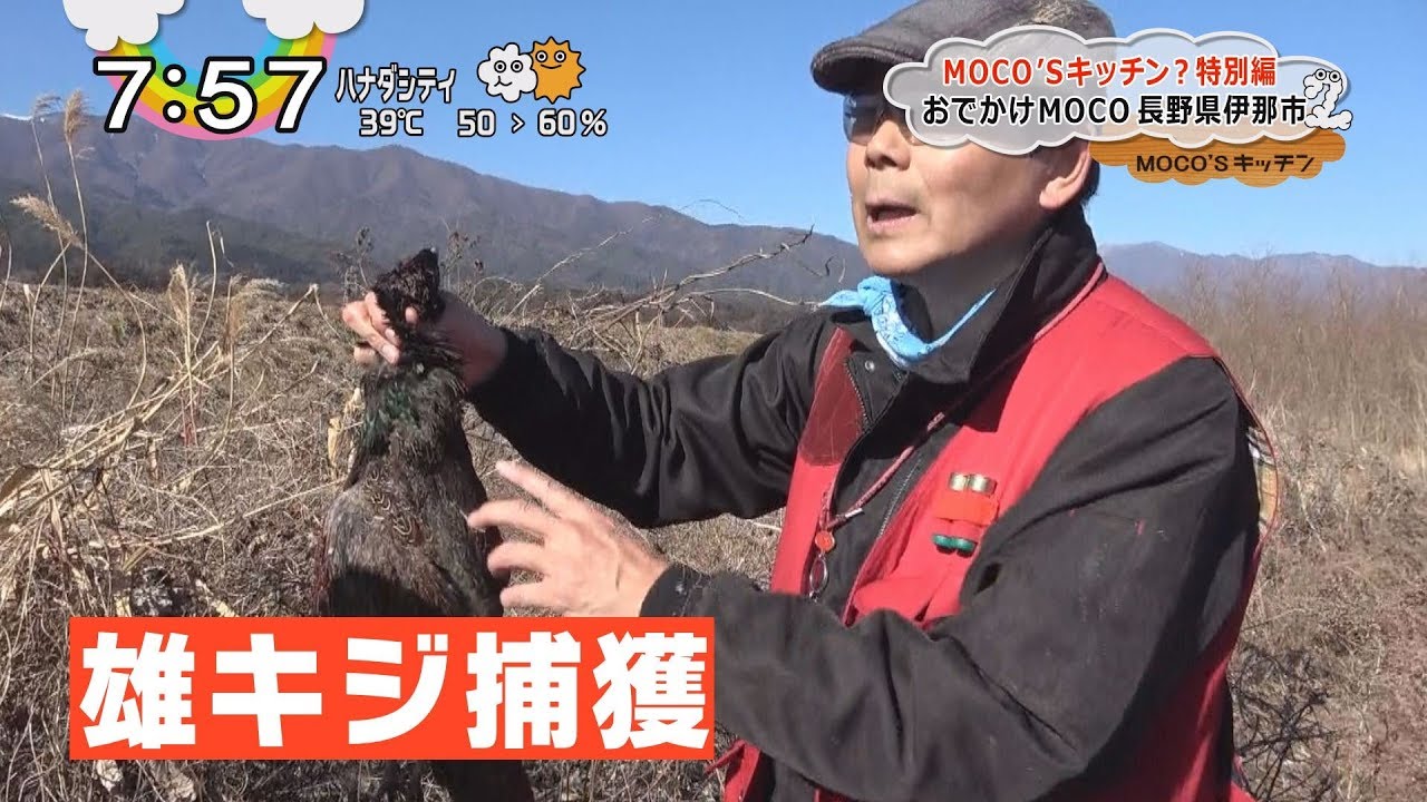 モコズキッチン？29～キジ猟で絶品ジビエ料理作り-狩猟篇-～Excellent gebier food cooking with pheasant hunting-Hunting Hen-