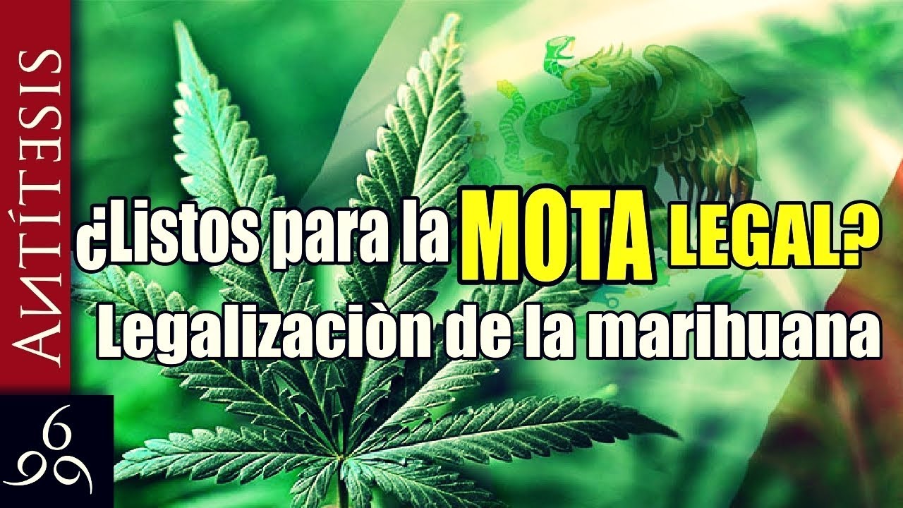 En la 4T, todos a volar.  Arriba la marihuana.