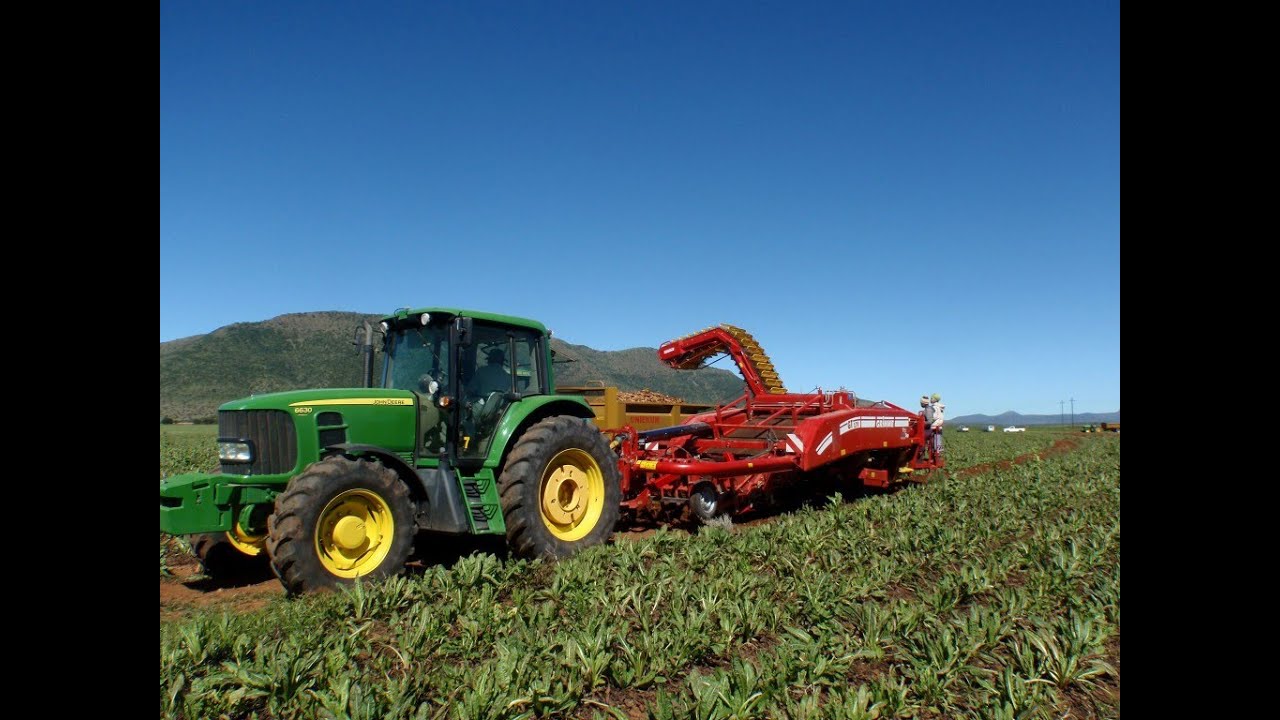 GRIMME GT 170 | potato harvester with deviner web