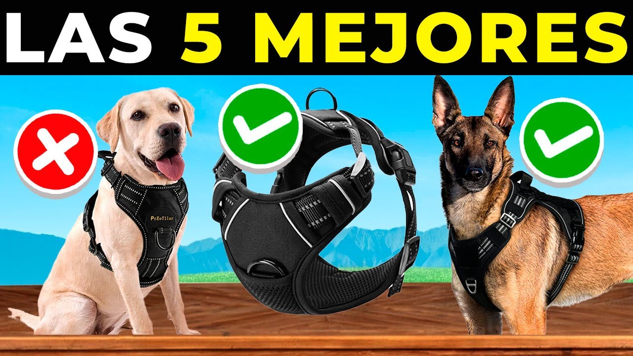 😮 Los 5 Mejores ARNESES Para PERRO ANTITIRONES de Amazon (2025) | Correas Para Perro