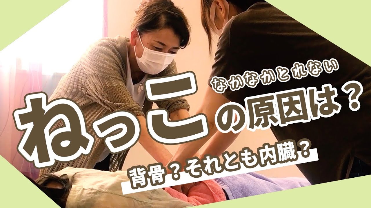【ねっこりとり】大騒ぎ‼️腰のねっこが痛すぎた笑笑
