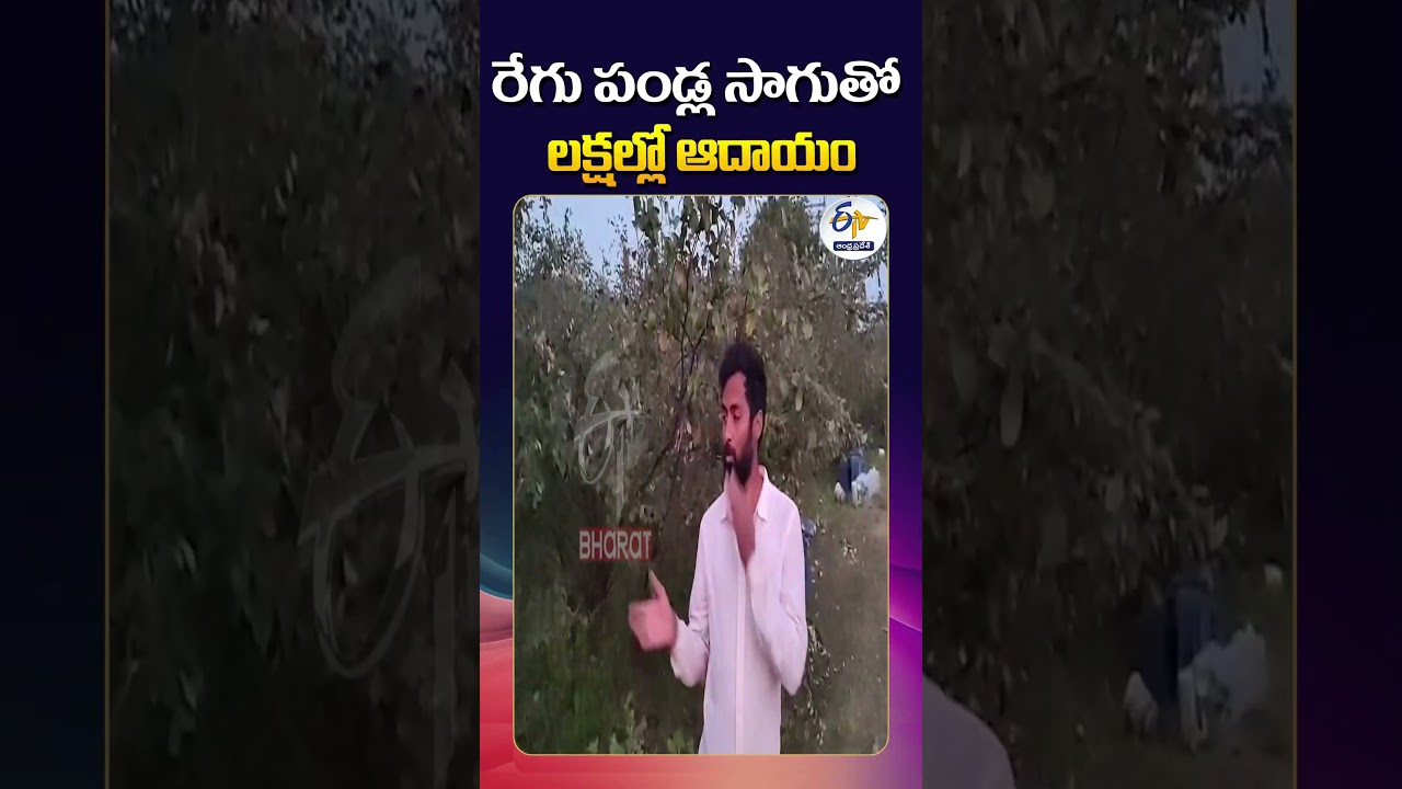 Nalanda Youth Earns Lakhs from Grape Farming!