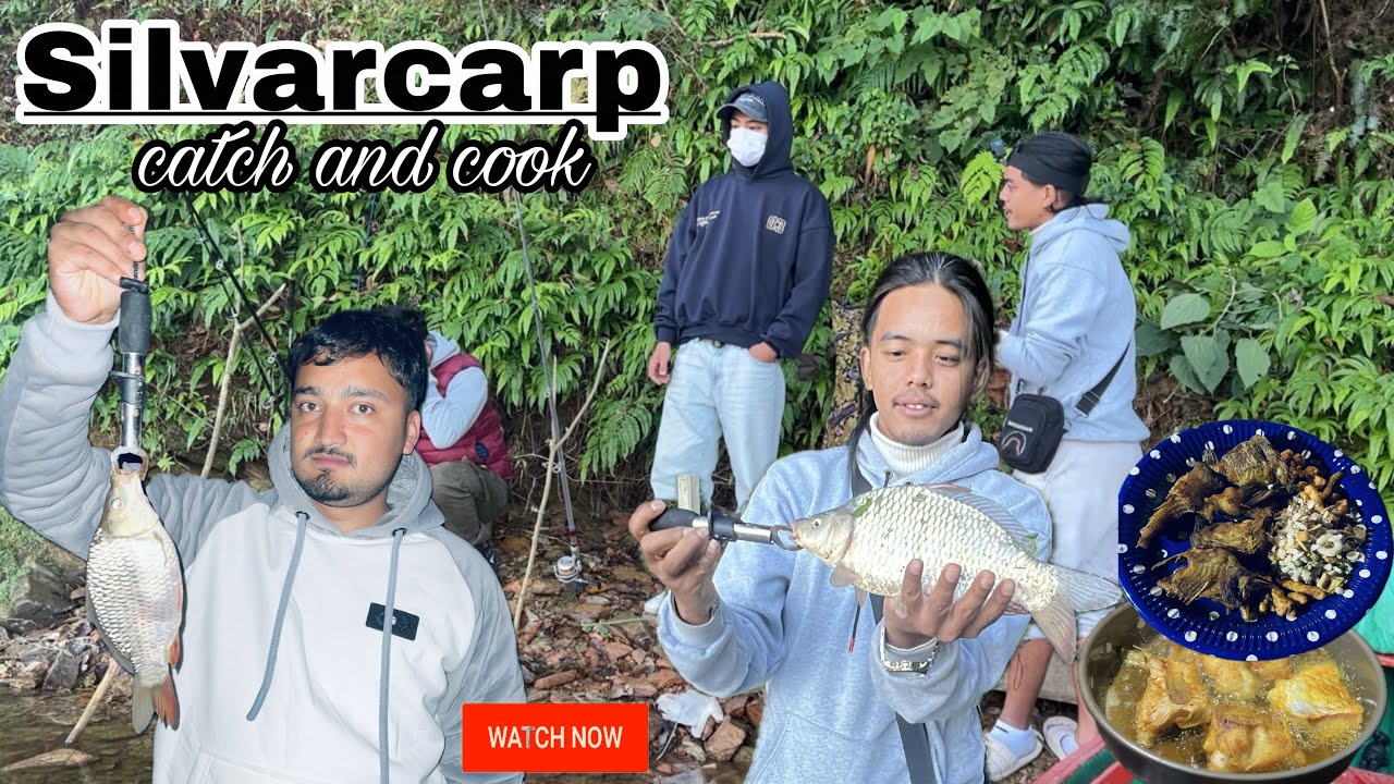 🔥 Fewa तालमा यस्तो Silver Carp समातियो 😱 Catch गर्‍यौँ अनि त्यहीँ Cook | @campncast-8 