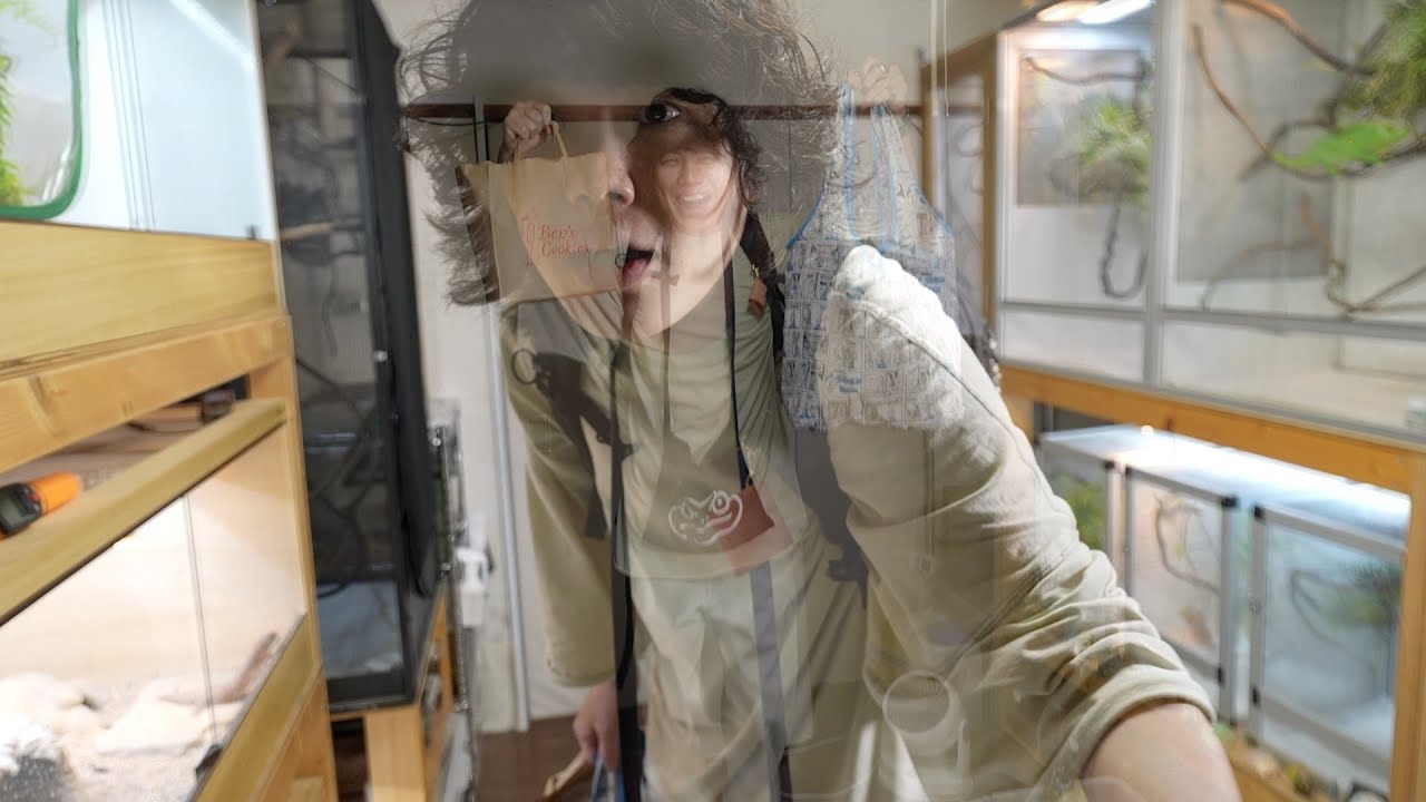 エキゾチックレプタイルエキスポ頂き物開封ライブ