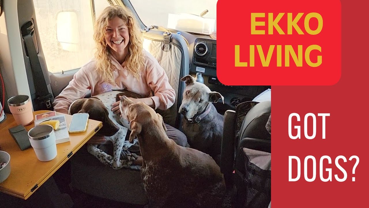 LIVING WITH 3 DOGS in the WINNEBAGO EKKO.  A few simple mods that will make the difference.