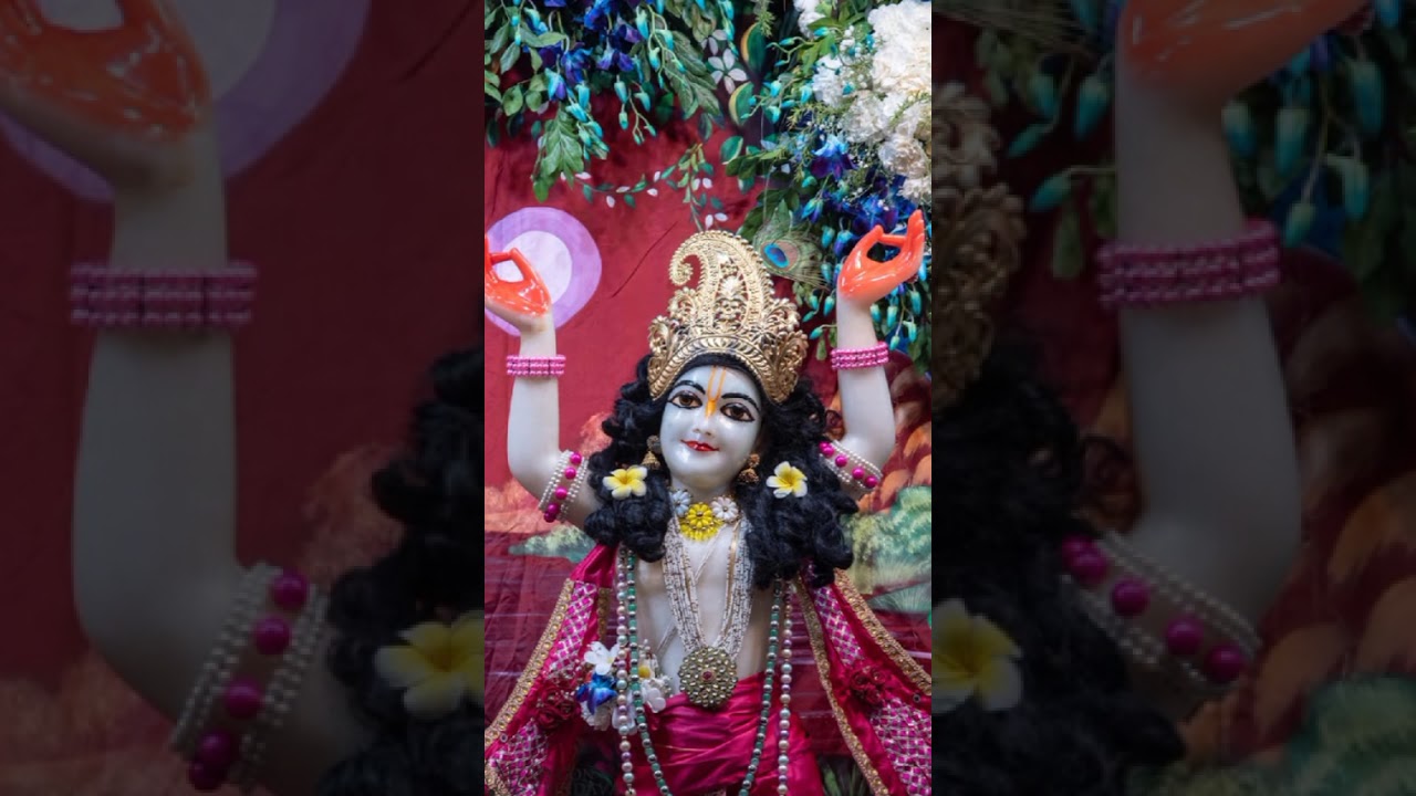 Odia Jagannath supperhit bhajana Asilani kalijuga Song Harikrupa das #shorts#ytshort #youtubeshorts