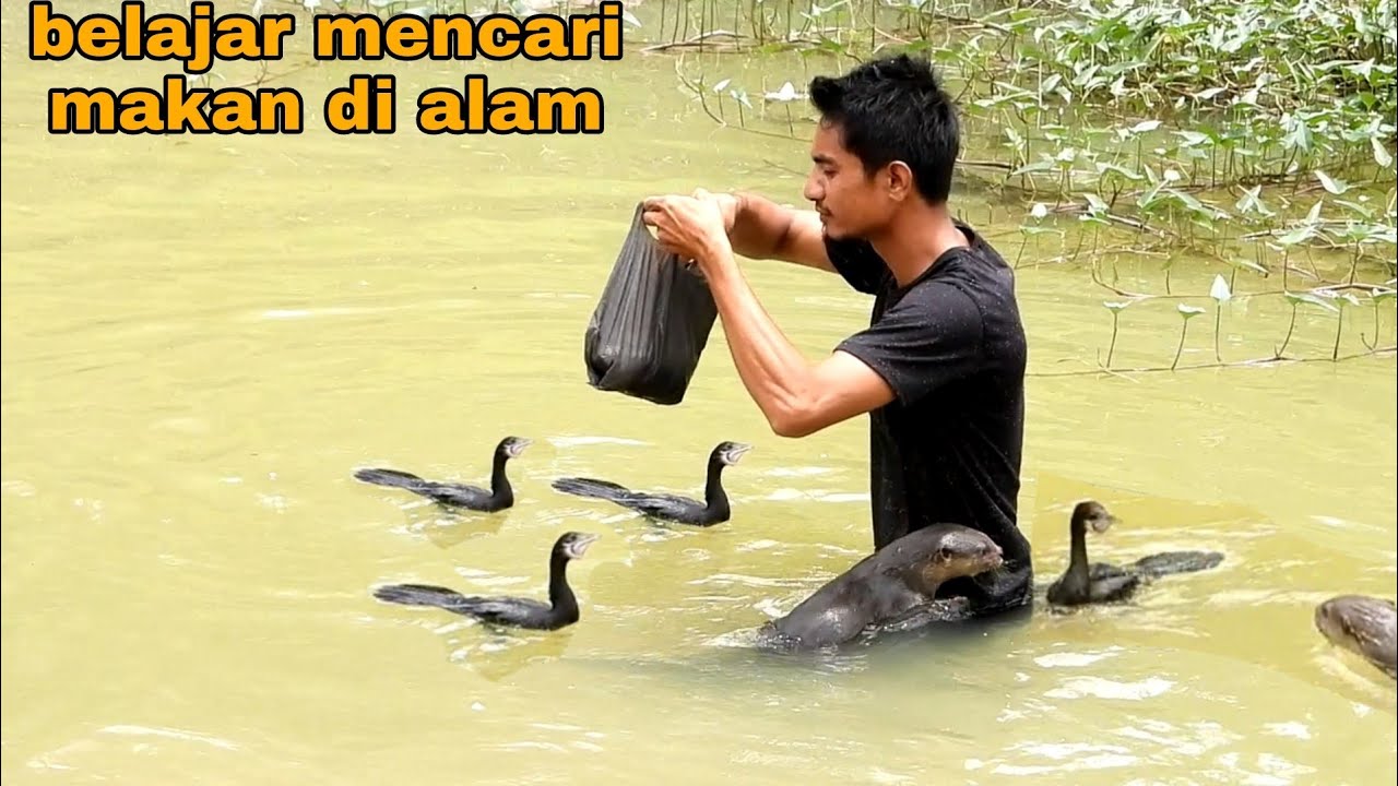 BISA diajak bermain_dua jenis predator air bersatu