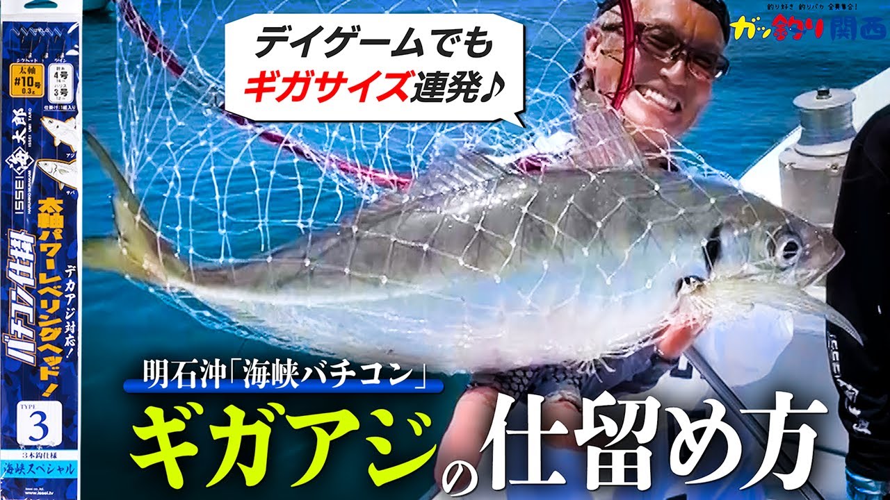 【バチコン】時合を逃すなっ！ギガアジを仕留める仕掛けとは？in 明石【ガッ釣り関西】